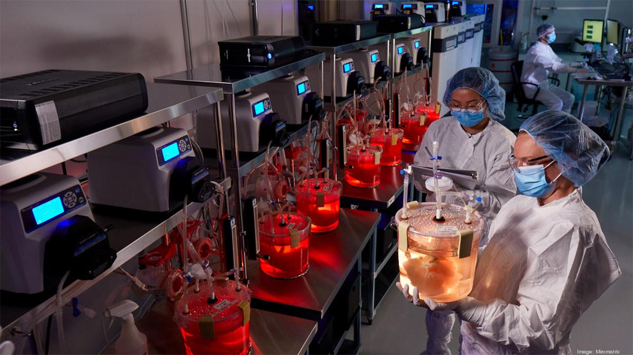 researchers in lab holding jars with organs