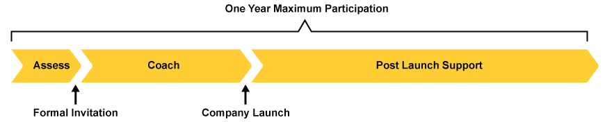 Three phases within a one year maximum participation timeline. Phases are: asses, coach, and post launch support. A formal invitation follows the "asses" phase. "Company launch" follows the "coach" phase.
