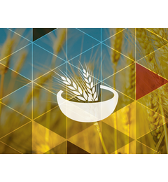 Icon/symbol of bowl of wheat in a bowl and pictures of wheat