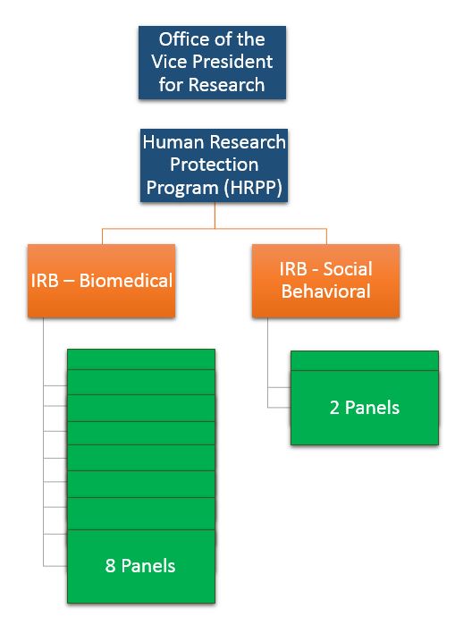 IRB Organizational Structure: OVPR on top, Human Research Protection Program underneath, under that are two boxes for IRB Biomedical and IRB Social Behavior, under Biomedical is a representation of 8 panels, under Social Behavioral are two panels