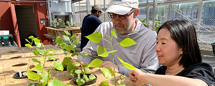 Two people examining plants in a greenhouse space