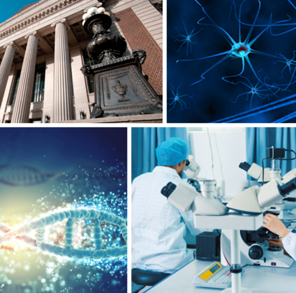 Research and Academia Collage